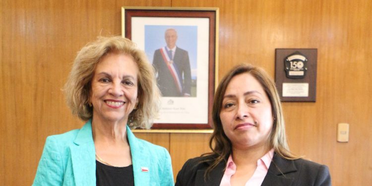 Denisse Barahona Vargas asume como secretaria regional ministerial de Minería