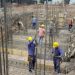 Desempleo se mantiene sobre el 8% en Chile: Experto advierte un nuevo piso estructural