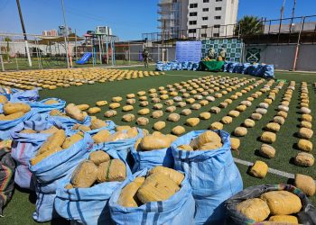 Incautación de acopio con 1.845 kilos de marihuana eleva los decomisos a casi 24 toneladas en los primeros meses de este año
