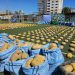 Incautación de acopio con 1.845 kilos de marihuana eleva los decomisos a casi 24 toneladas en los primeros meses de este año