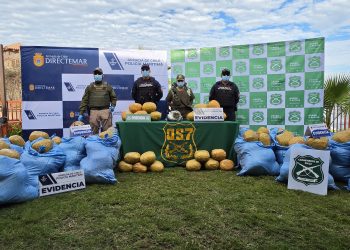 Carabineros del OS7 Iquique desbarató banda que trasladaba drogas hacia Puerto Montt