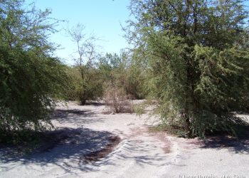 Monitoreo Alerta Temprana Preventiva para la Provincia del Tamarugal por evento meteorológico