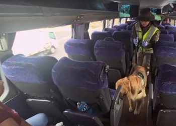 Pasajera transportaba dos kilos de drogas en viaje de Iquique a Santiago