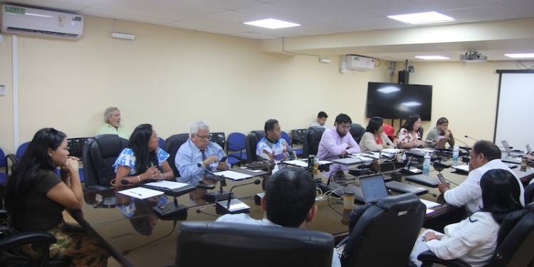 CORE refuerza compromiso para concretar electrificación en General Lagos tras avance en tramitación ambiental