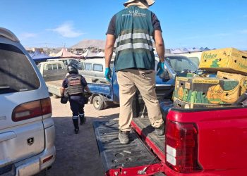 SAG Tarapacá incauta más de 1.200 kilos de productos ilegales en feria La Quebradilla