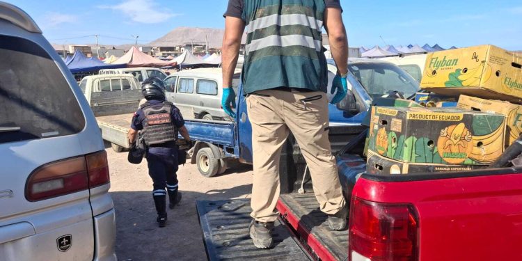 SAG Tarapacá incauta más de 1.200 kilos de productos ilegales en feria La Quebradilla