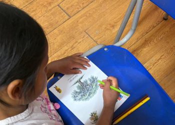 Comunidad educativa de Jaiña se capacitó en prevención de incendios forestales con programa Escuelas Preparadas de CONAF