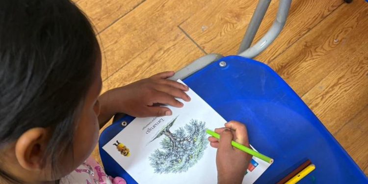 Comunidad educativa de Jaiña se capacitó en prevención de incendios forestales con programa Escuelas Preparadas de CONAF