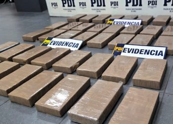 PDI detuvo a imputado por tráfico de drogas en Complejo Fronterizo: Trasladaba más de 40 kilos de clorhidrato de cocaína