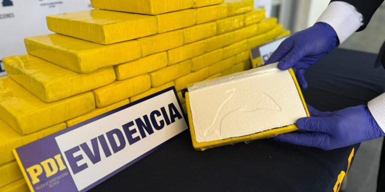 Investigación de PDI Arica y Fiscalía: 122 kilos de clorhidrato de cocaína incautados y seis detenidos en dos operativos antidrogas originados en el norte del país