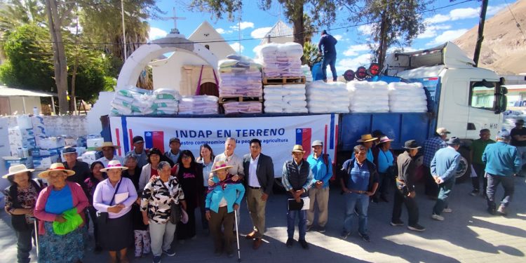 Instituto de Desarrollo Agropecuario entrega incentivos económicos a productores agrícolas de Camiña