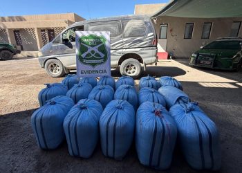 Carabineros incauta más de 384 kilos de hojas de coca abandonadas en vehículo