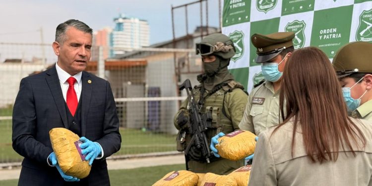 Investigación neutralizó red de venta de drogas y detectó acopio de 201 kilos marihuana en Calama