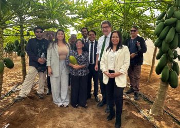 Biministro Mas visita Arica y Parinacota con agenda para reactivar la economía y facilitar la inversión