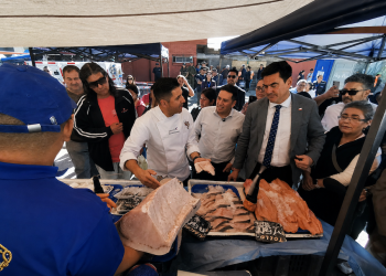 Inician construcción de la primera política nacional para promover el consumo de productos del mar chileno