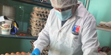 58 personas en este 2026 se han enfermado de Salmonelosis en la región de Tarapacá
