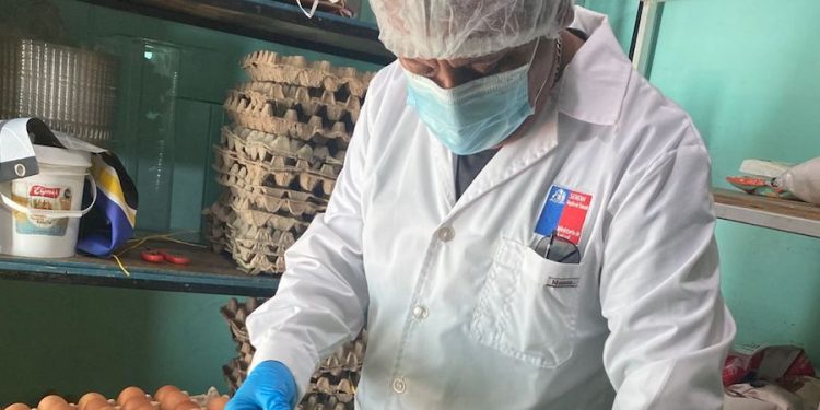58 personas en este 2026 se han enfermado de Salmonelosis en la región de Tarapacá
