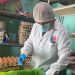 58 personas en este 2026 se han enfermado de Salmonelosis en la región de Tarapacá