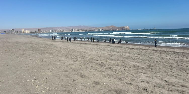 Promueven conciencia ambiental y pensamiento sociocientífico en estudiantes