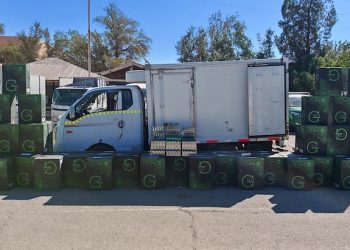 Más de 47 mil cajetillas de cigarrillos fueron incautadas por Carabineros en Ruta 5