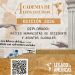 Diplomado: “Raíces Humanistas de Occidente y Asuntos Globales”