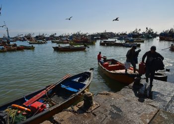 Gobierno anuncia apoyo extraordinario para pescadores artesanales de Arica y Parinacota ante alza de combustibles