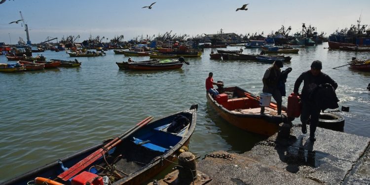 Gobierno anuncia apoyo extraordinario para pescadores artesanales de Arica y Parinacota ante alza de combustibles