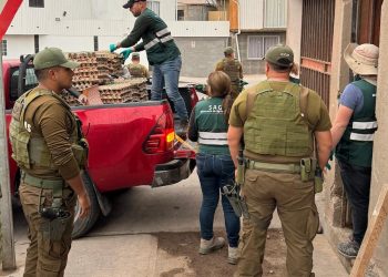 SAG Tarapacá desbarata centro de acopio de productos agropecuarios de ingreso clandestino en Alto Hospicio