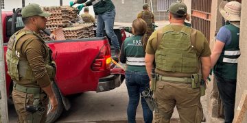 SAG Tarapacá desbarata centro de acopio de productos agropecuarios de ingreso clandestino en Alto Hospicio