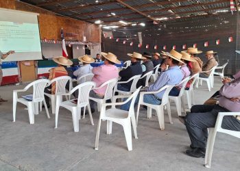 SAG Tarapacá refuerza trabajo preventivo con  tenedores de équidos de Alto Hospicio