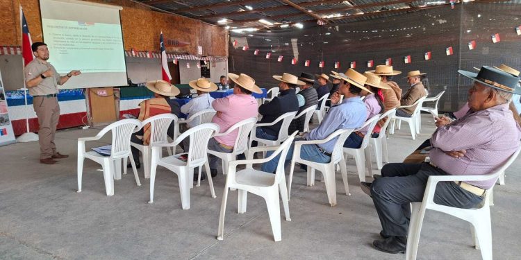 SAG Tarapacá refuerza trabajo preventivo con  tenedores de équidos de Alto Hospicio