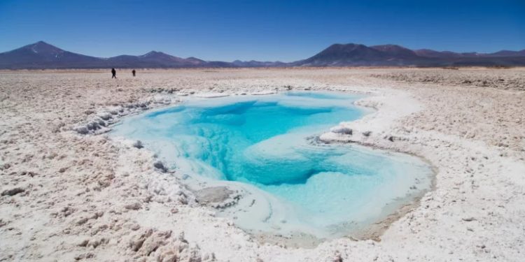 Gobierno aprueba proyecto del Grupo Errázuriz en el Salar de Atacama tras 17 años en tramitación ambiental