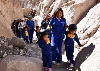 Jardín Vizcachita de JUNJI fue seleccionado para publicar experiencia educativa