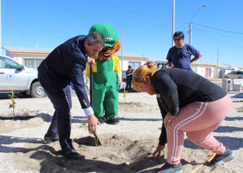 CONAF Tarapacá: “Mi pueblo, mi árbol” en Provincia del Tamarugal