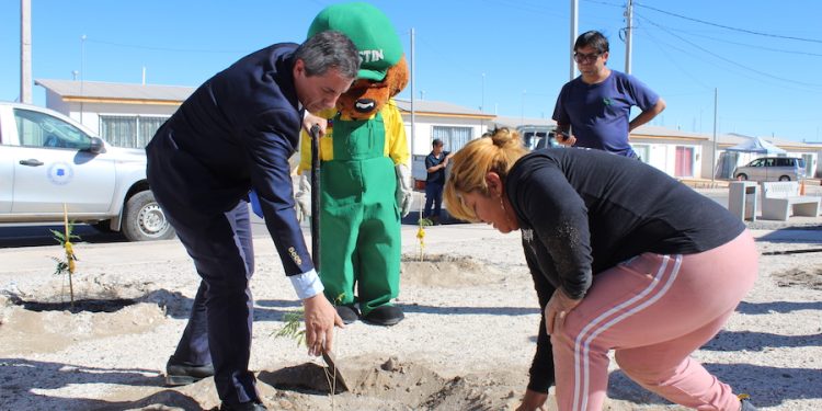 CONAF Tarapacá: “Mi pueblo, mi árbol” en Provincia del Tamarugal