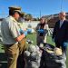 Estrategia de vigilancia en rutas secundarias de Antofagasta permitió incautar 1.681 kilos de marihuana