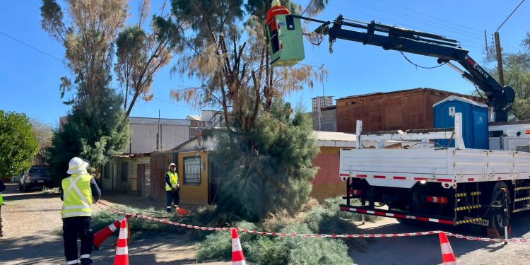 CGE avanza en trabajos de mantenimiento e inspección a conexiones irregulares en La Tirana