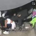 Prisión preventiva para mujer imputada por microtráfico de drogas en «ruco» cerca de caleta Riquelme