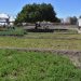CET de Pozo Almonte: El modelo de reinserción agrícola que transforma el cumplimiento de condenas