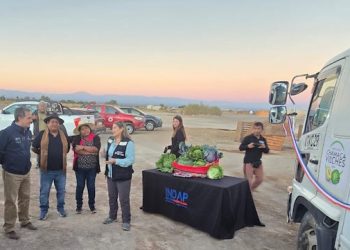 Empresa asociativa campesina de Huara recibe camión frigorífico con apoyo de INDAP