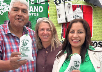 Conoce Chile Emprende: La plataforma que reúne la oferta pública de apoyo para emprendedores