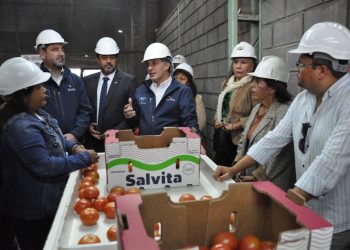 Arica inicia nueva temporada de exportaciones de tomate a Argentina con primer envío de más de 23 toneladas