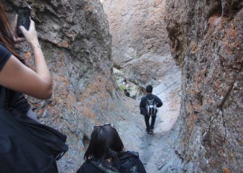 Profesores de Historia reviven sendero tropero y redescubren los aleros de Pachama