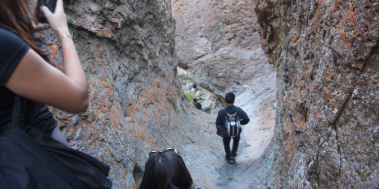 Profesores de Historia reviven sendero tropero y redescubren los aleros de Pachama