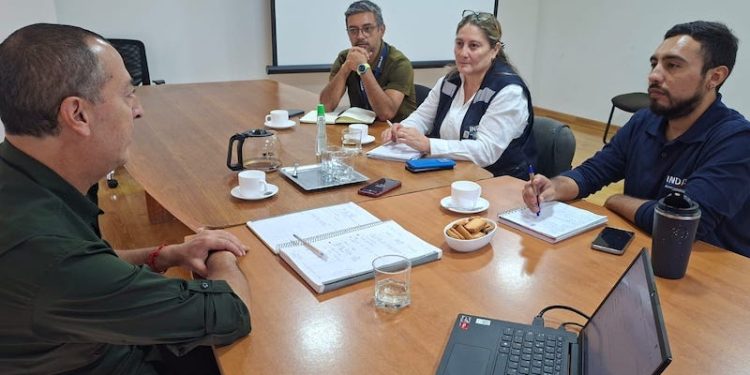 SAG e INDAP Tarapacá coordinan acciones preventivas para apoyar a agricultores frente a campañas de mosca de la fruta