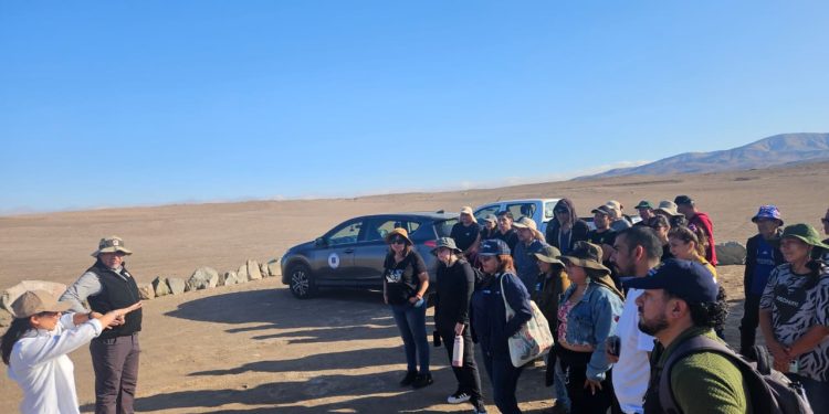 Funcionarios públicos y docentes fortalecen compromiso con la conservación de especies amenazadas en Planes RECOGE