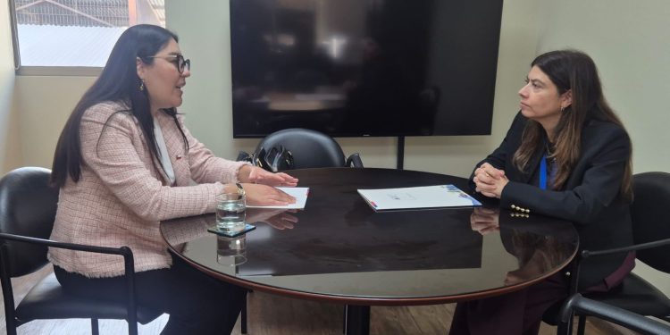 Bienes Nacionales denuncia ante Fiscalía Regional loteos irregulares y ocupaciones ilegales en El Tamarugal