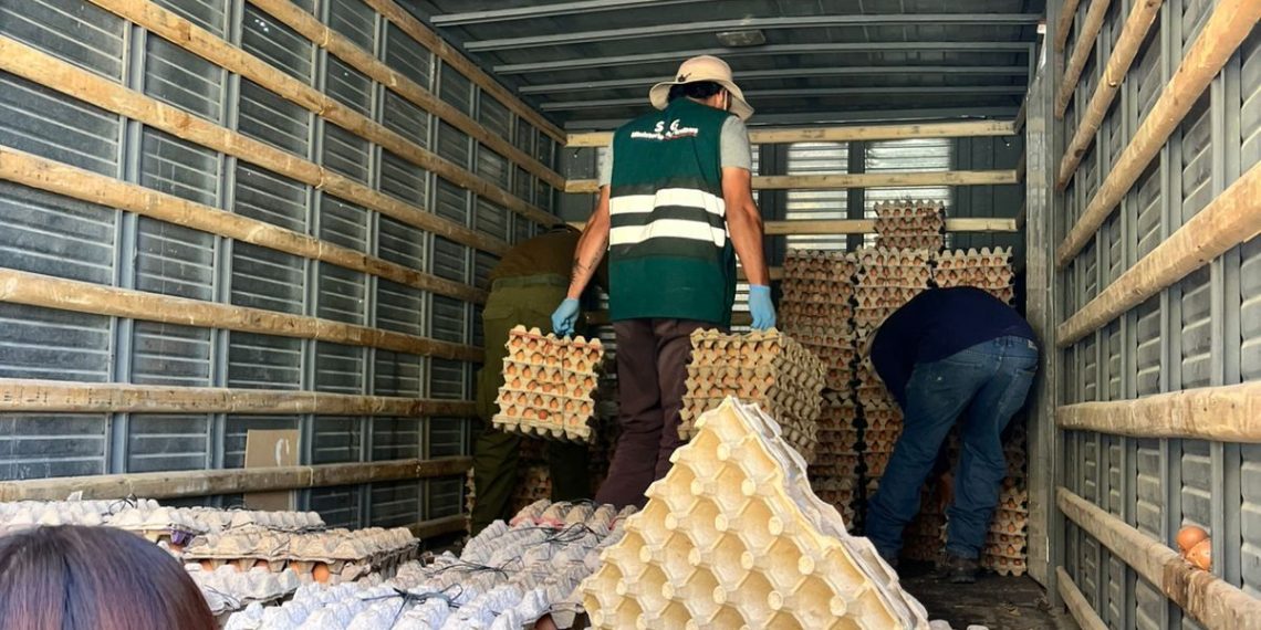 SAG Tarapacá suma cerca de 500 fiscalizaciones contra el contrabando agropecuario