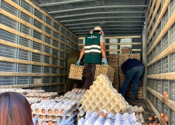 SAG Tarapacá suma cerca de 500 fiscalizaciones contra el contrabando agropecuario