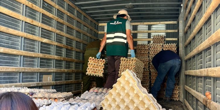 SAG Tarapacá suma cerca de 500 fiscalizaciones contra el contrabando agropecuario